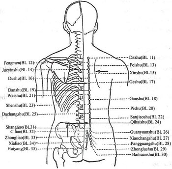 Bladder 18 acupressure point