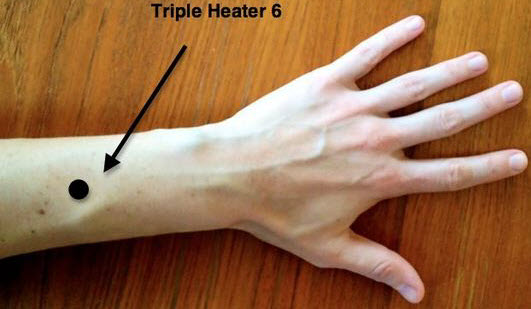 Triple Warmer 6  Reflexology Healing Medfield MA