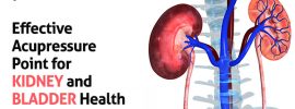 Kidney and bladder health