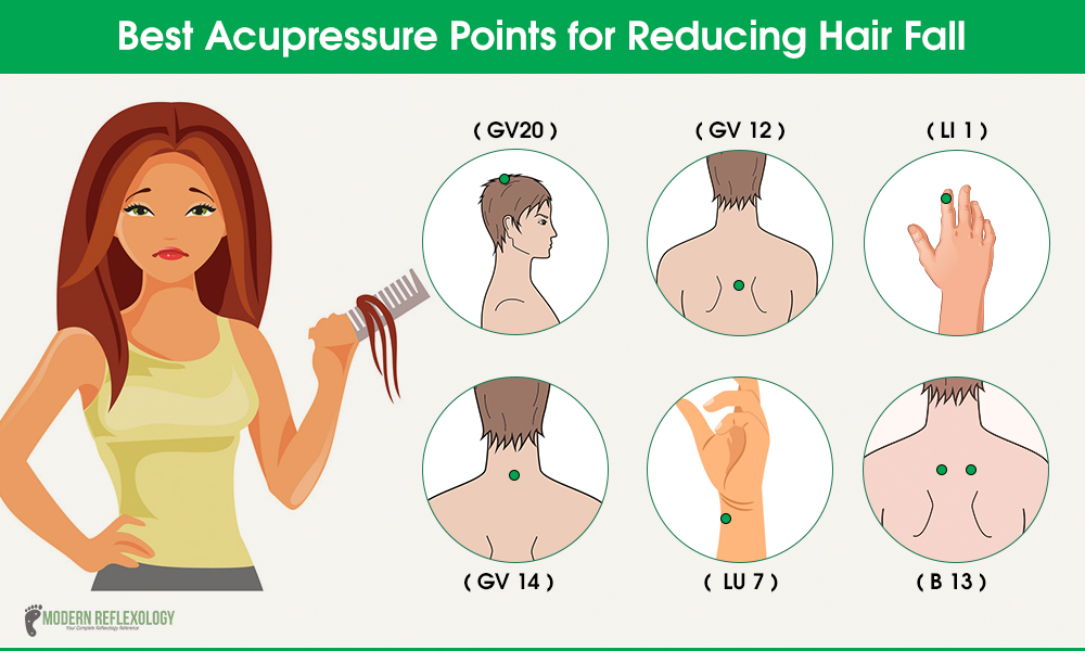 Acupressure points for Reducing Hair Fall - Modern Reflexology Acupressure points for Reducing Hair Fall - Modern Reflexology