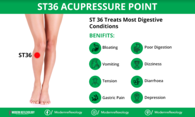 ST36 Acupressure Point