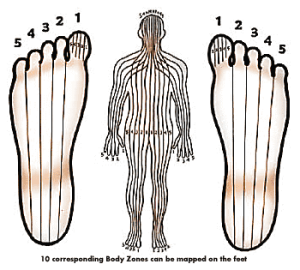 bodyzones mapped on foot