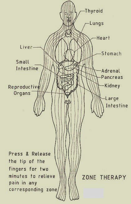 Zone Therapy Body Chart