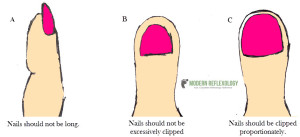 Mobility Exercises to Treat Reflexology
