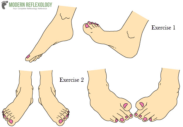 Reflexology Exercises to Increase the Mobility of Ankles