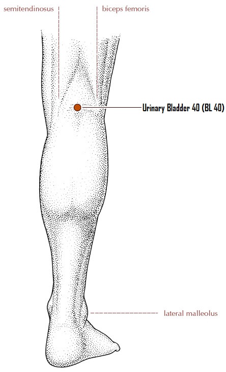 Back of Knee Point to control diabetes