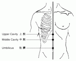 Middle Cavity