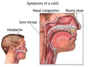 Symptoms of Cold