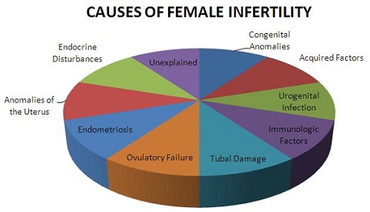 Reflexology Fertility Foot Chart