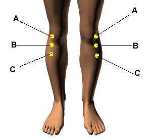 knee pain acupressure points