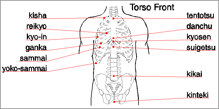 Pressure Points For Acupuncture Chart