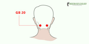 Gall Bladder 20