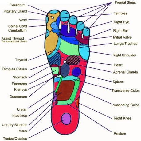 Acupressure Foot Chart