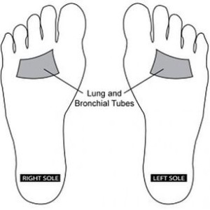 Lung Point