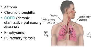 Types of Lung Diseases