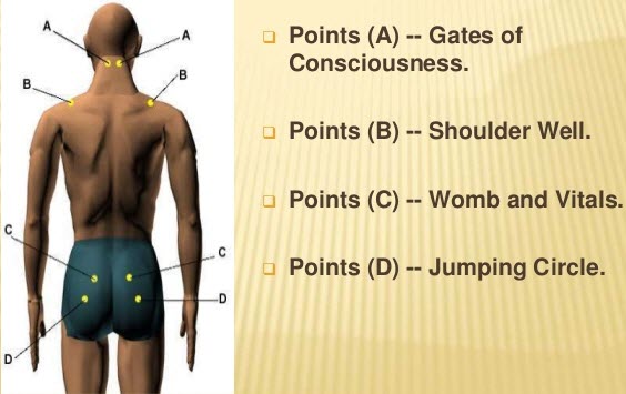 Womb and Vitals