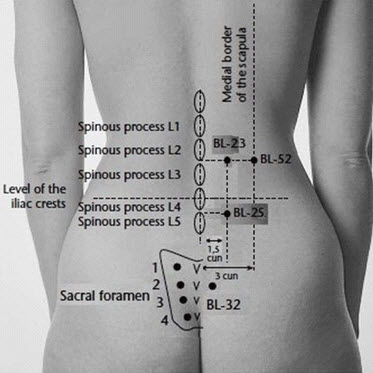 Sexual Pressure Points Chart