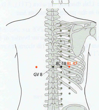 Trigger Points Back Chart