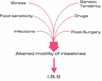 Causes of Irritable Bowel Syndrome