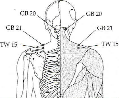 Gall Bladder 21