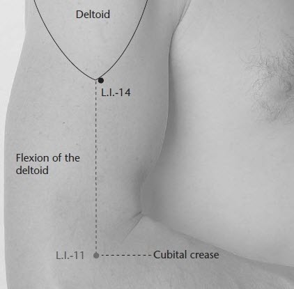 Acupuncture Points Chest Chart