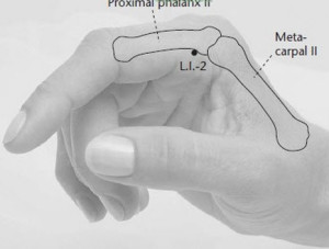 LI2 acupuncture point