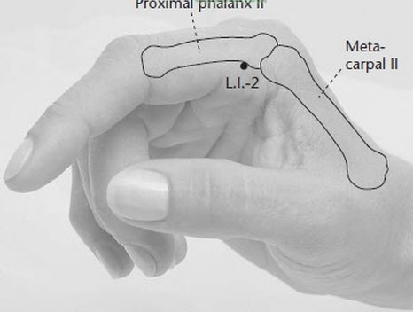 LI2 acupuncture point