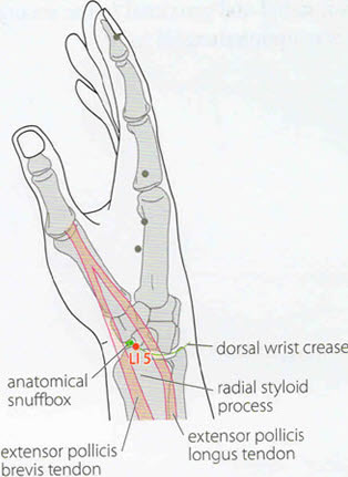 Arm Pressure Points Chart