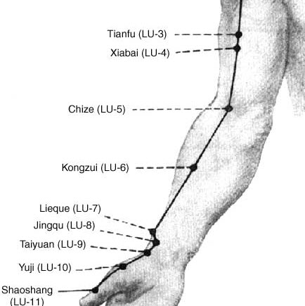 Arm Pressure Points Chart