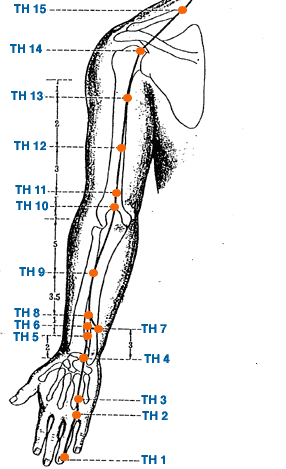 Arm Pressure Points Chart