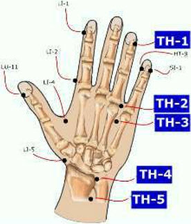 Wrist Reflexology Chart