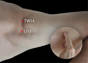 TW 14
