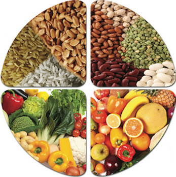 fruits, vegetables, grains