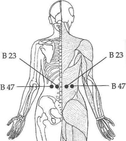 Точки акупрессуры B23 и B47.