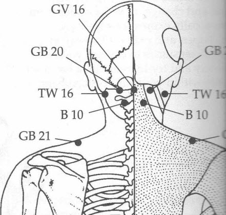 Bladder 10