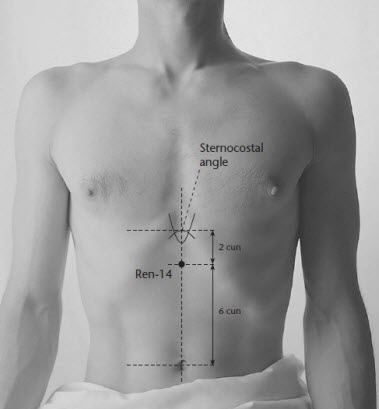 CV 14 acupuncture point