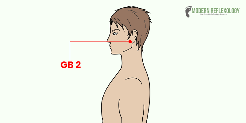 Gall Bladder 2