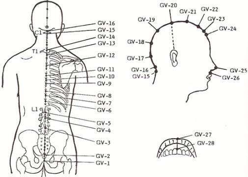 GV 7 acupressure point