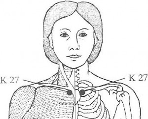 Kidney 27