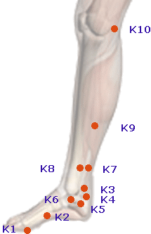 Lower Leg Reflexology Chart