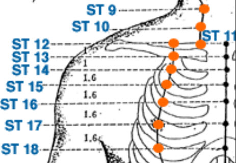 Stomach Meridian 15