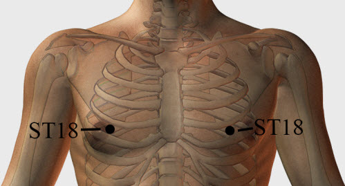 Stomach Meridian 18 or Breast Root 