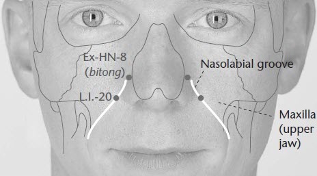 LI 20 acupressure point