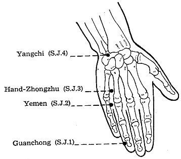 三焦2