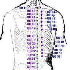 UB 12 and 13