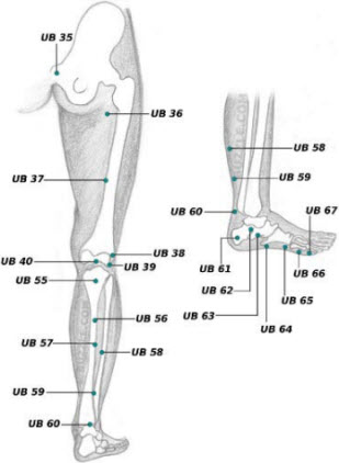 Ankle Acupuncture Points Chart