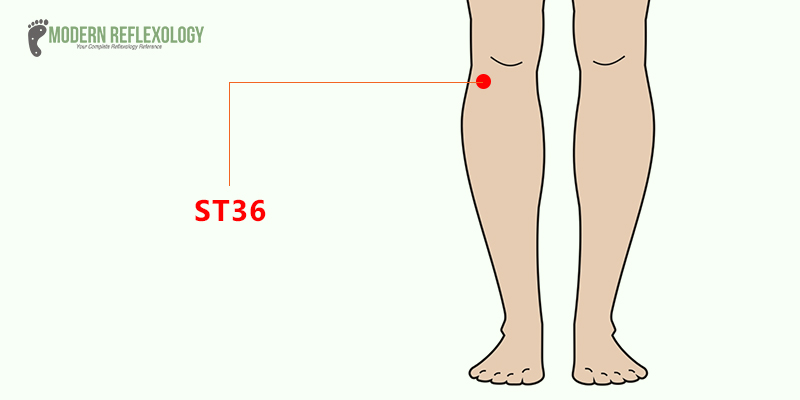 ST 36 Pressure Point