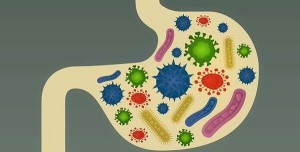 Feed your gut some good bacteria