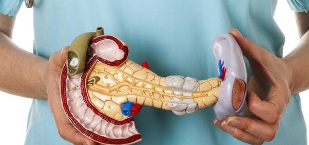 reflexology pancreas