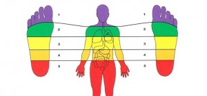 Zones of a Body